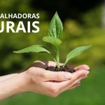 Prefeitura divulga mutirão de documentação para trabalhadoras rurais de Caucaia 